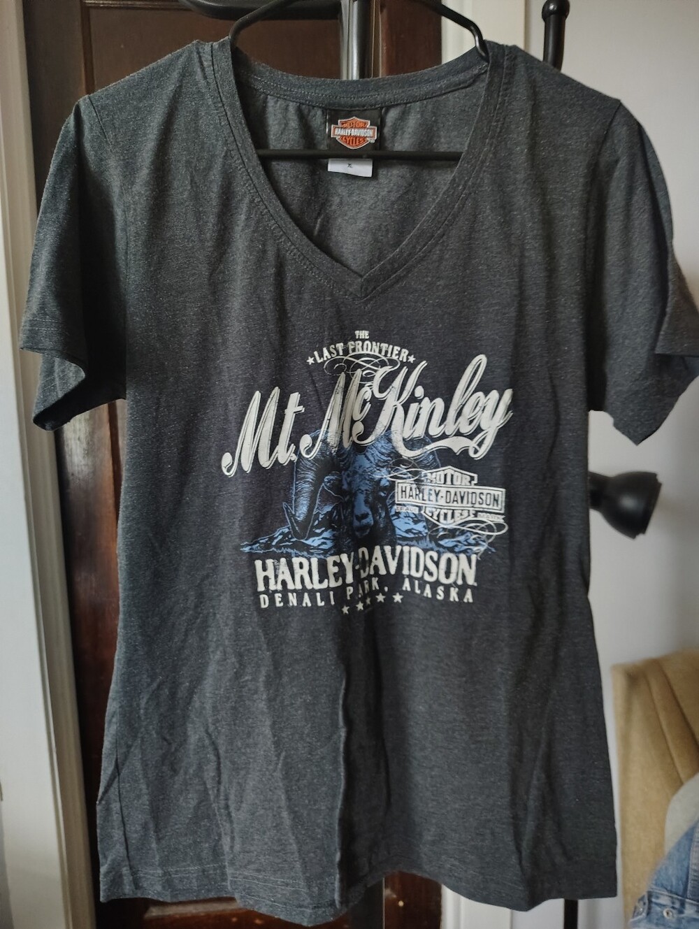 Harley-Davidson Charcoal Gray Mt. McKinley Graphic V-Neck Tee